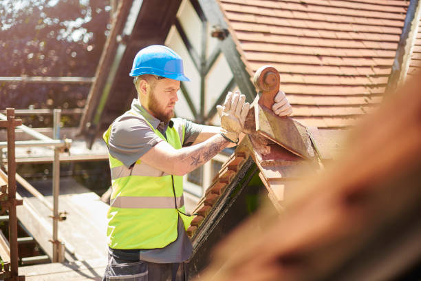 Best Metal Roofing Contractor  in Lakeport, CA