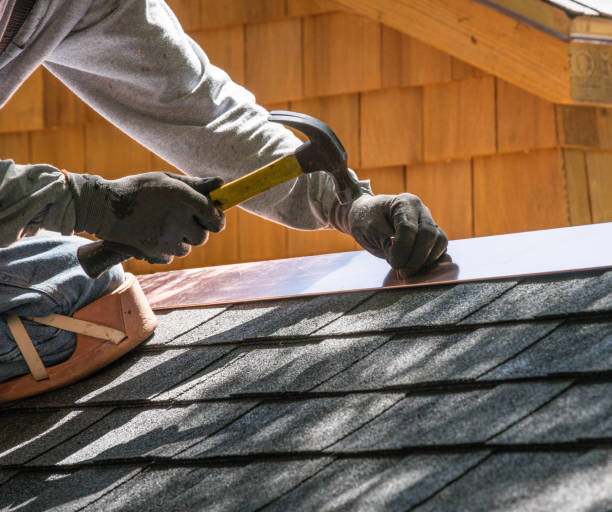 Best Roof Gutter Cleaning  in Lakeport, CA